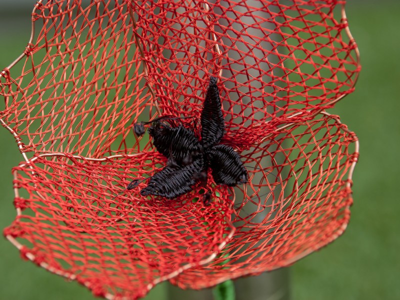 A Poppy for&nbsp;Remembrance